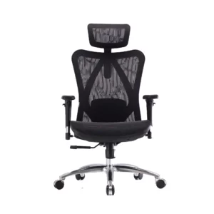 SIHOO M57 Ergonomic Office Chair
