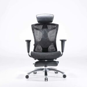 SIHOO V1 Ergonomic Office Chair