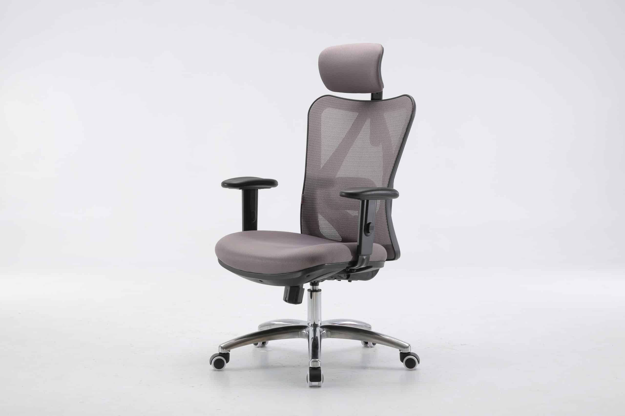 Sihoo M18 Desk Office Chair Review Hindi, Sihoo M18 vs M57