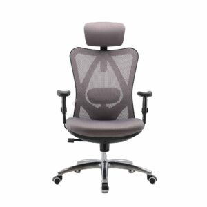 SIHOO M18 Ergonomics Office Chair