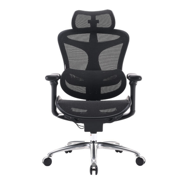 Sihoo A3 DORO-C300 Ergonomic Office Chair