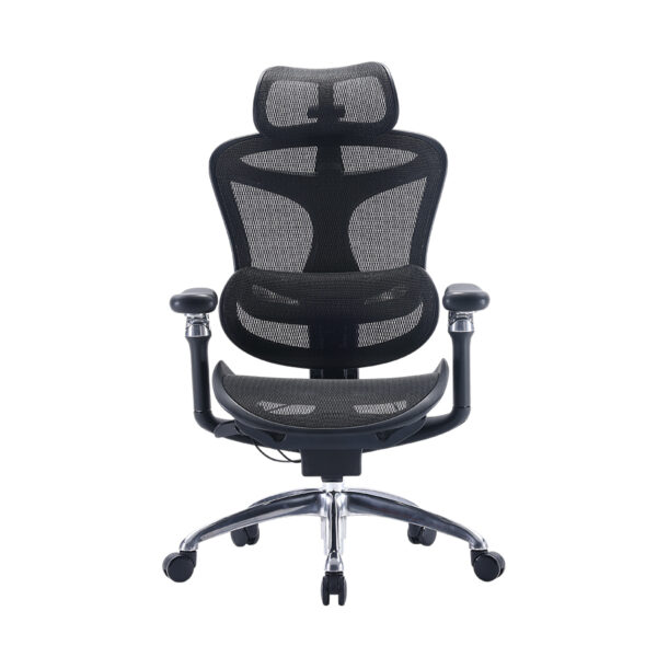 Sihoo A3 DORO-C300 Pro Ergonomic Office Chair