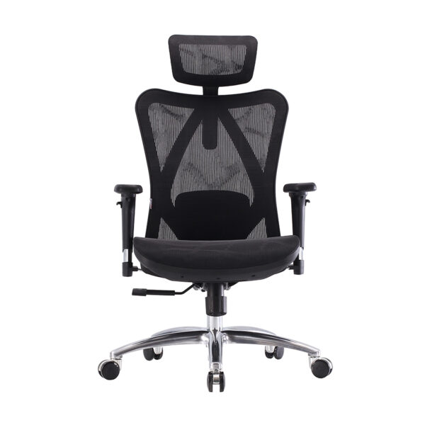 Sihoo M57 Ergonomic Executive Staff Office Chair