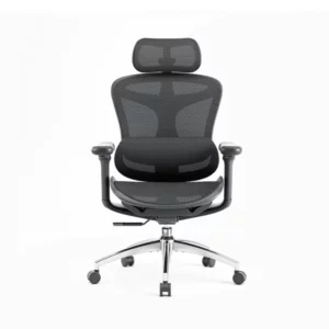 Sihoo A3 DORO-C300 Ergonomic Office Chair