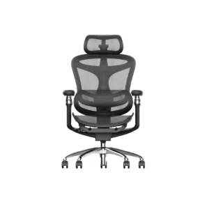 Sihoo A3 DORO-C300 Pro Ergonomic Office Chair