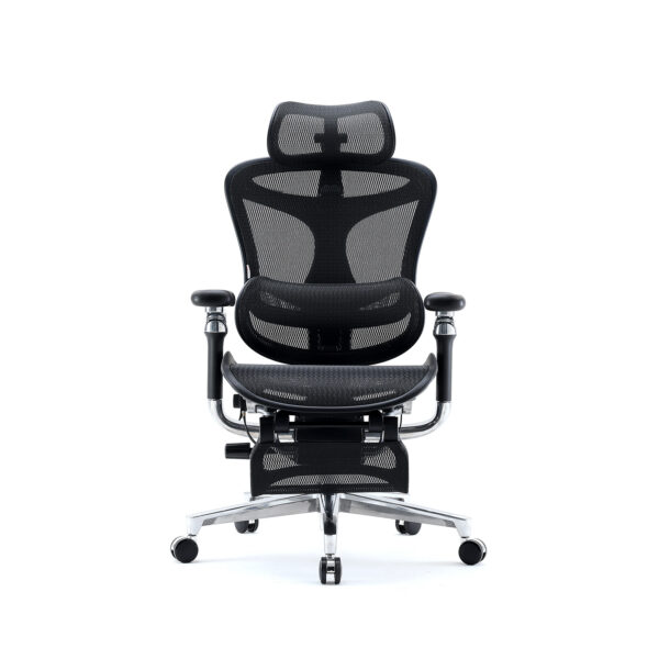 Sihoo DORO-C500 Ergonomic Office Boss Chair