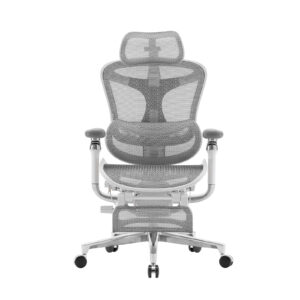 Sihoo DORO-C500 Ergonomic Office Boss Chair