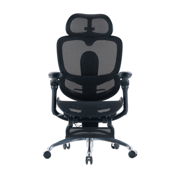 Sihoo Doro C300 Pro V2 Ergonomic Office Chair